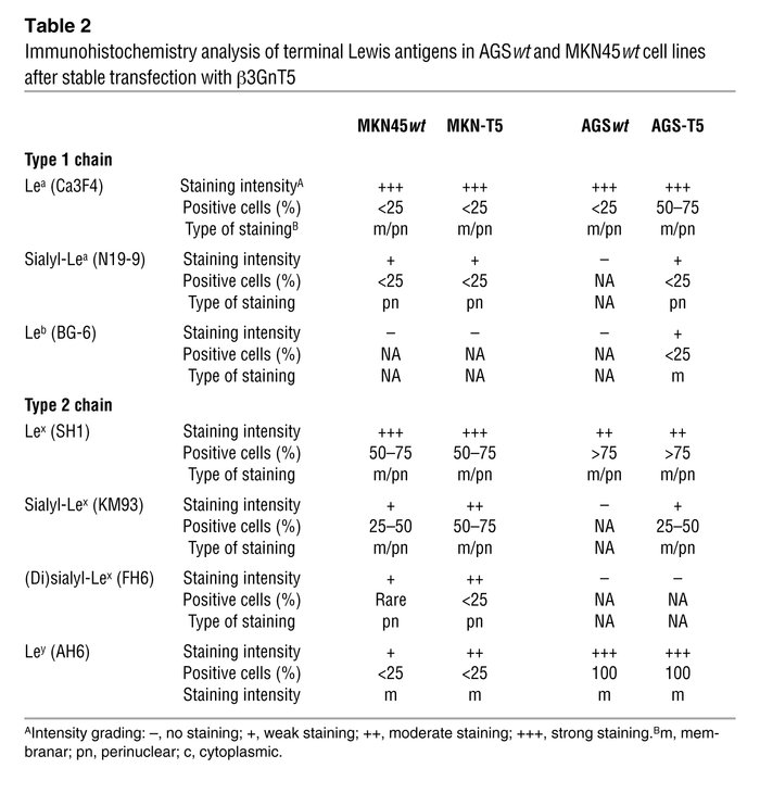 Immunohistochemistry analysis of terminal Lewis antigens in AGSwt and MK...
