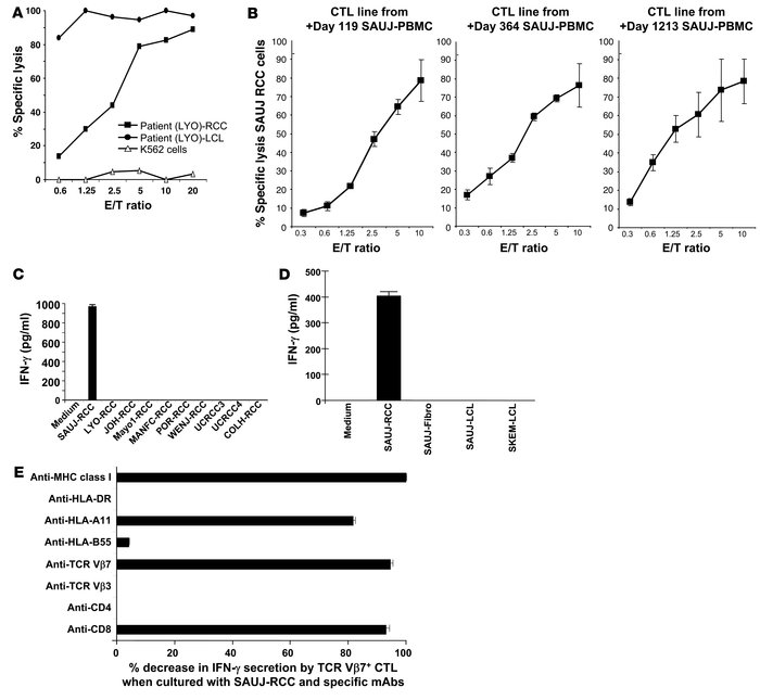 Detection of RCC-reactive CD8+ T cells in PBMCs after transplantation.
 ...