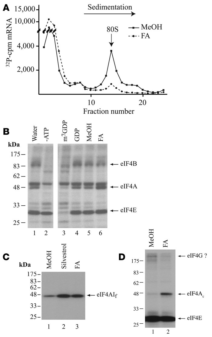 CBFs inhibit translation initiation and stimulate eIF4A RNA-binding acti...