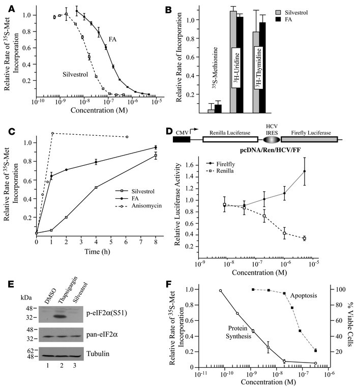 Effects of CBFs on protein, RNA, and DNA synthesis in vivo.
(A) Dose-dep...