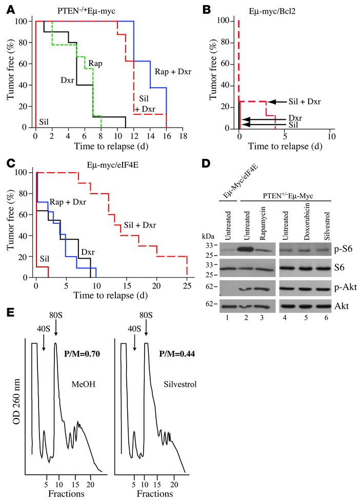 Silvestrol alters chemosensitivity in Pten+/–Eμ-Myc and Eμ-Myc/eIF4E tum...