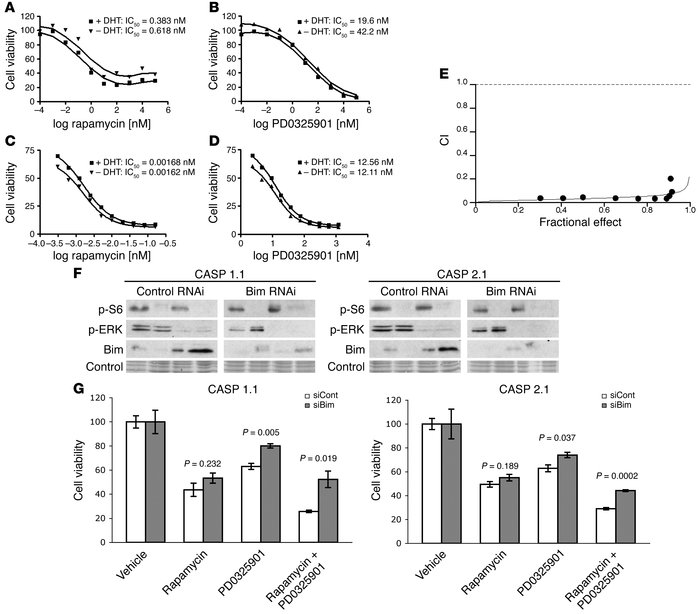 Rapamycin and PD0325901 display strong synergism in cell culture.
(A–D) ...