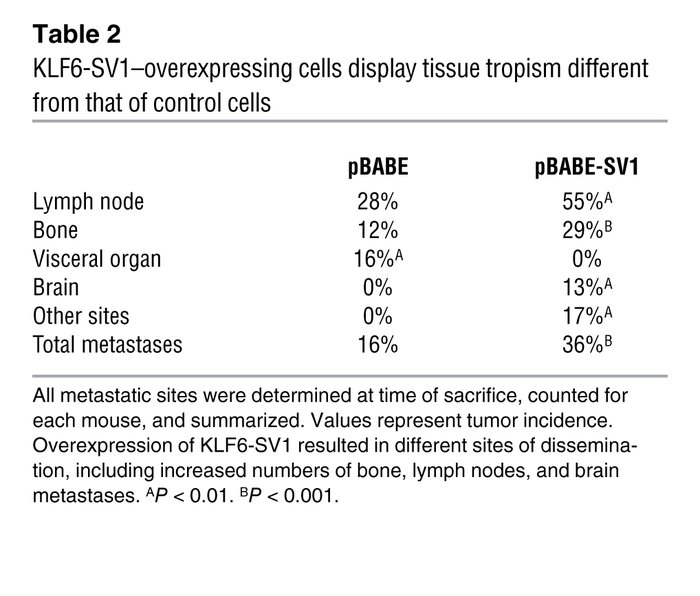 KLF6-SV1–overexpressing cells display tissue tropism different from that...