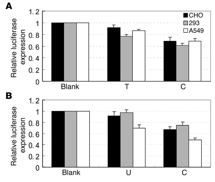 In vitro target binding assays for rs11614913 in CHO, 293T, and A549 cel...