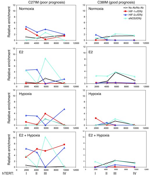 Analysis of the hTERT promoter by serial ChIP.
Serial ChIP experiments w...