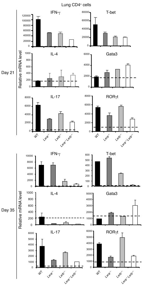 The role of LXRs in the modulation of T cell function during M. tubercul...