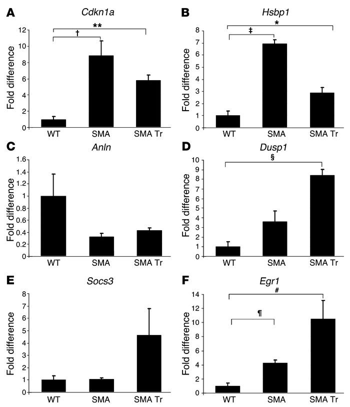 Real-time PCR analysis of endogenous LCM motoneurons after cell transpla...