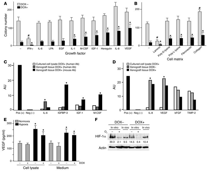 Growth and angiogenic factors and cell matrix proteins can rescue cultur...
