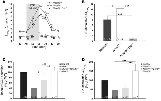 Basal and FSK-stimulated HCO3– secretion in Nherf2–/–, Nherf2–/–Cftr–/–,...