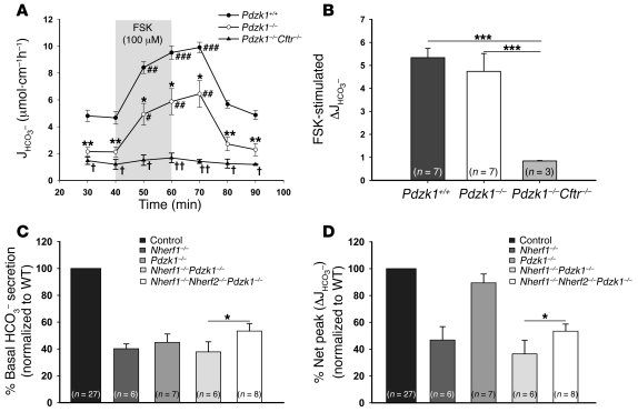 Basal bicarbonate secretion and FSK-stimulated peak secretory response i...