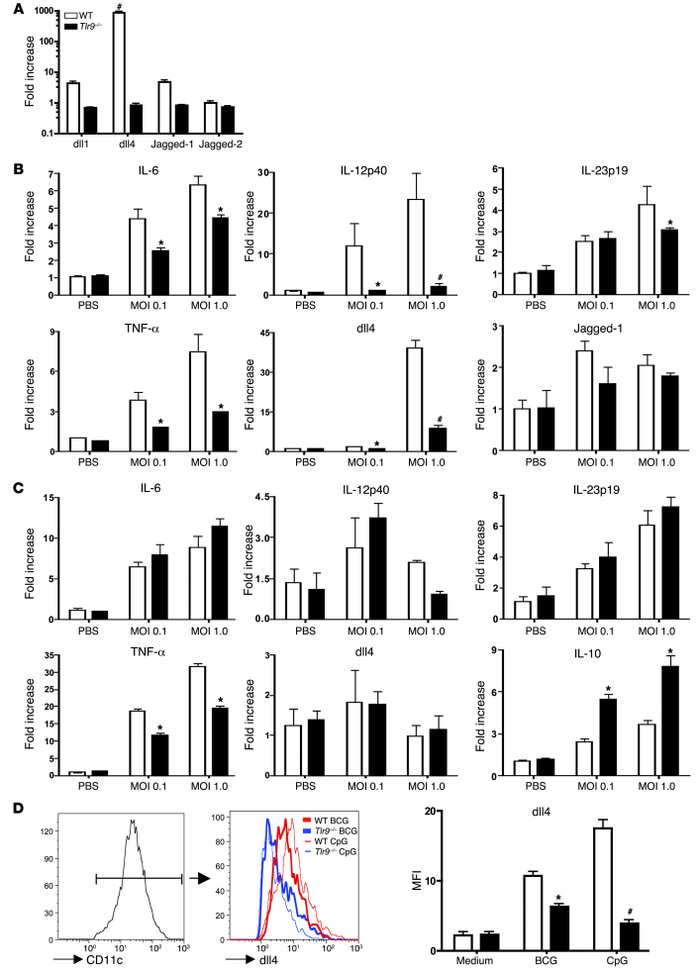Lung DCs from Tlr9–/– mice exhibit decreased expression levels of both T...