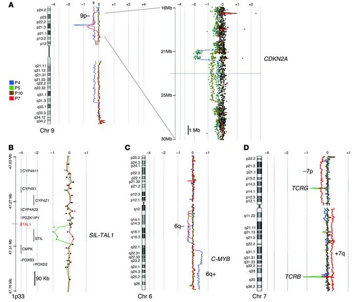 Genome-wide copy number analysis by array-CGH.
(A) Array-CGH analysis of...
