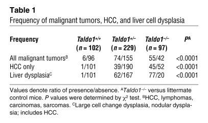 Frequency of malignant tumors, HCC, and liver cell dysplasia