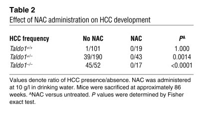 Effect of NAC administration on HCC development