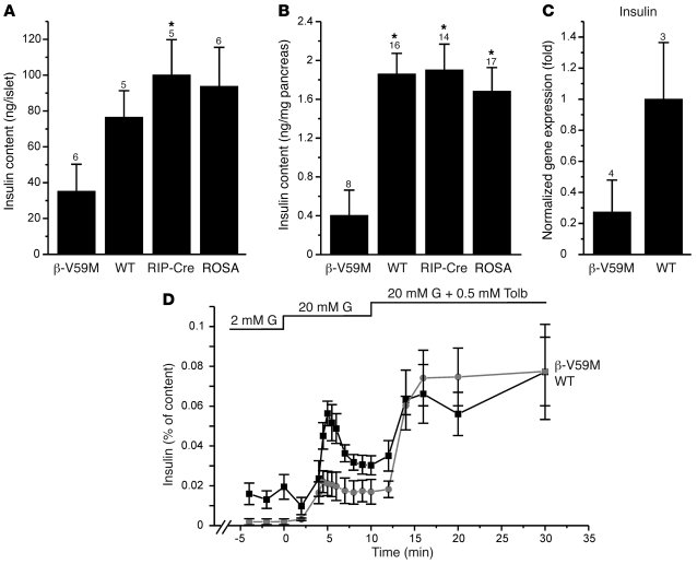 Insulin content and insulin secretion from control and β-V59M islets.
(A...