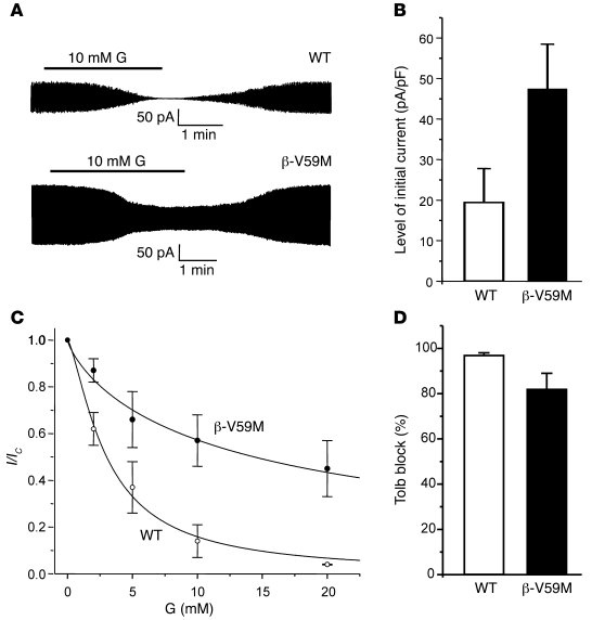 Mutant KATP channels are less sensitive to inhibition by glucose.
   
(A...