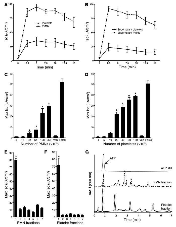 Characterization of T84 cell monolayer response to activated PMNs and pl...