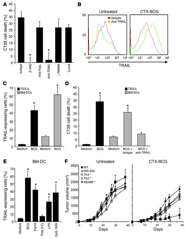 BCG activated human Mo-DCs are cytotoxic against human cell lines in a T...