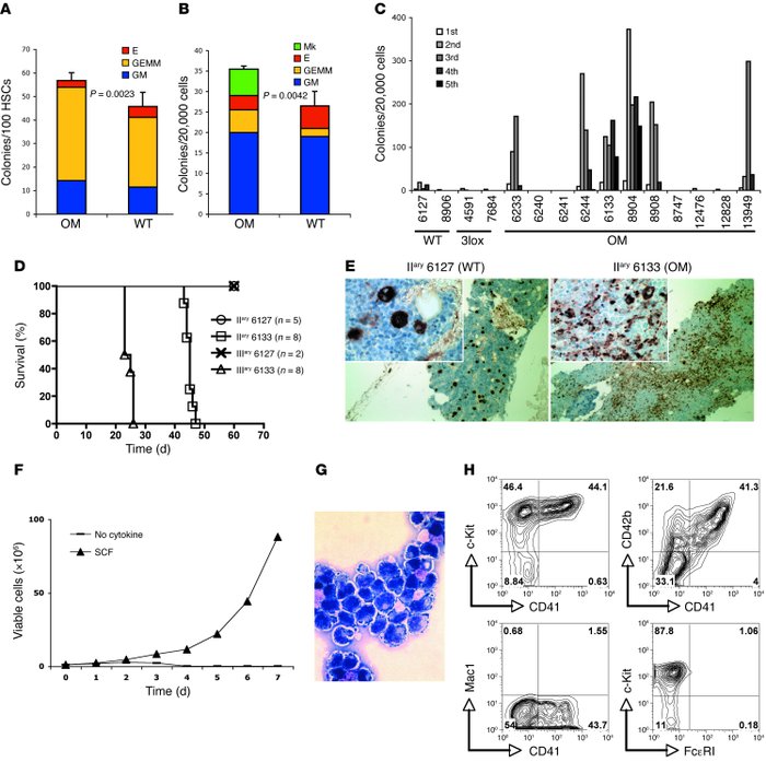 OTT-MAL induces abnormal fetal and adult hematopoiesis and AMKL with low...
