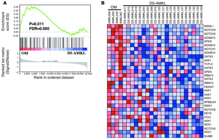 Gene expression analysis of human AMKL with t(1;22)(p13;q13) demonstrate...