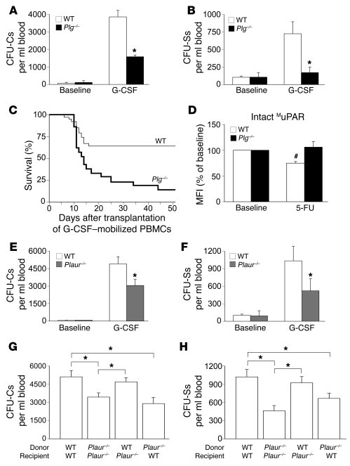 Impaired HSPC mobilization in Plg–/– mice.
   
(A and B) Fewer circulati...