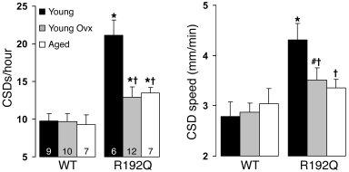 Gonadal hormone–mediated modulation of CSD susceptibility in
           ...