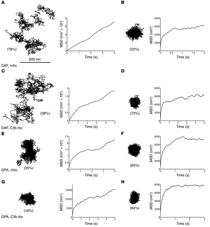 Representative SPT trajectories of DAF and GPA lateral diffusion in memb...