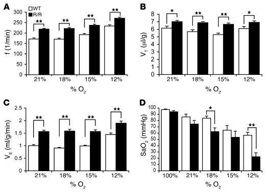 Baseline respiration is elevated in VhlR/R mice.
   
(A–C) Respiration w...