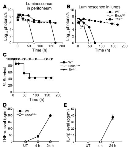 EndotheliumTLR4 mice showed much more efficient bacterial clearance than...