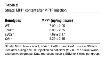 Striatal MPP+ content after MPTP injection
   