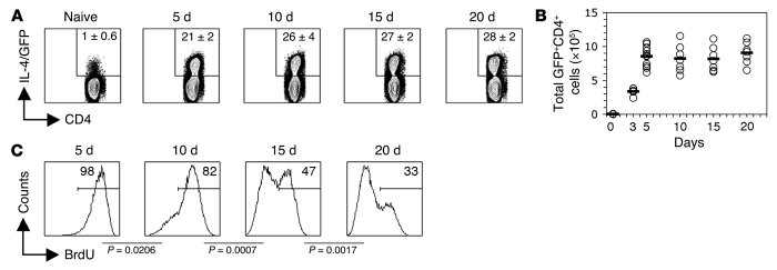 Chronic stimulation with SEA induces Th2 hyporesponsiveness.
(A) Mice in...