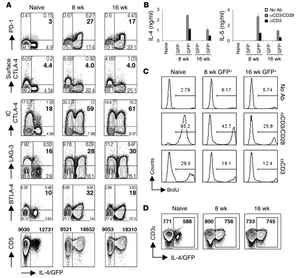 Th2 hyporesponsiveness does not rely on the ligation of inhibitory recep...