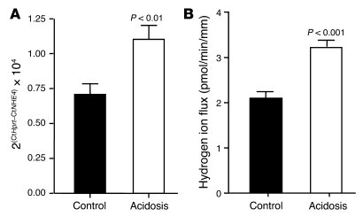 Effect of CMA on NHE4 activity and NHE4 mRNA expression.
   
(A) NHE4 an...