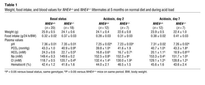 Weight, food intake, and blood values for NHE4+/+ and NHE4–/– littermate...