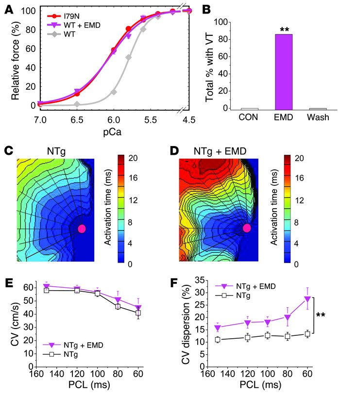 Ca2+-sensitizing TnT mutants increase the spatial dispersion of electric...