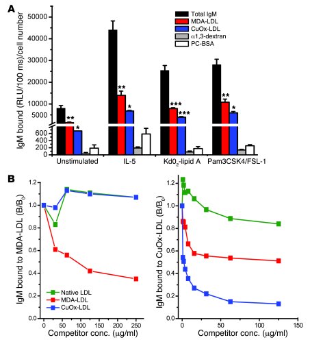 In vitro stimulation of B-1 cells induces increased natural IgM Ab titer...