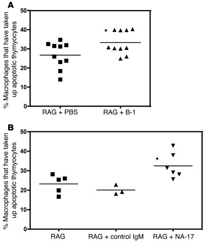 Natural IgM Abs against oxidation-specific epitopes facilitate apoptotic...