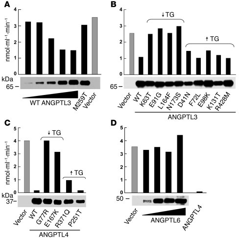 Effects of sequence variations in ANGPTL3 and ANGPTL4 on LPL activity.
W...