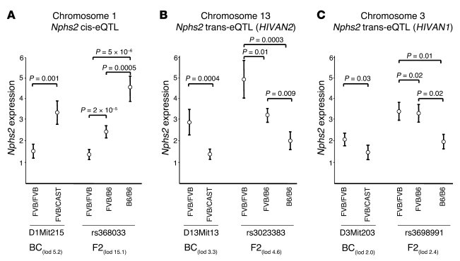 
Nphs2 expression levels at each eQTL in BC (n = 62) and F2 (n = 59) mic...