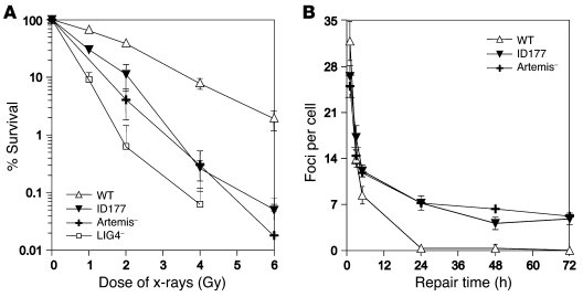 ID177 harbors a DSB repair defect.
(A) Clonogenic survival assay using w...