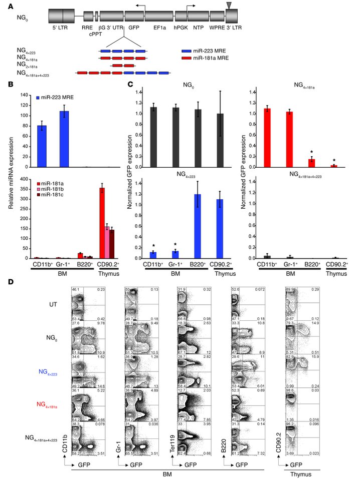 miRNA-mediated regulation effectively restricts transgene expression in ...