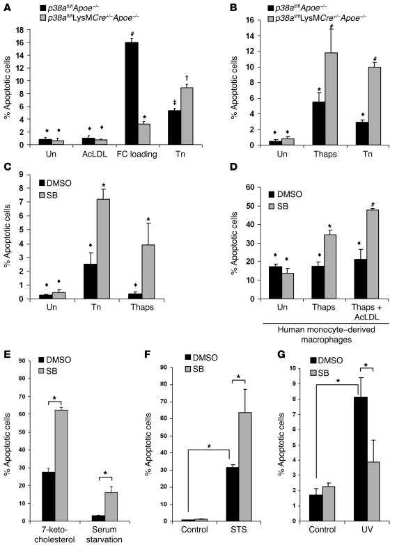 Inhibition of p38α MAPK accelerates macrophage apoptosis during ER stres...