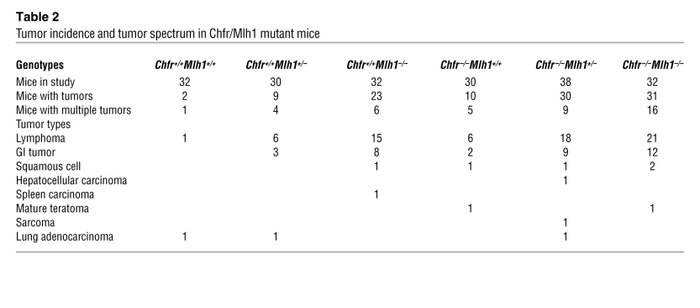 Tumor incidence and tumor spectrum in Chfr/Mlh1 mutant mice
