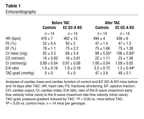 Echocardiography