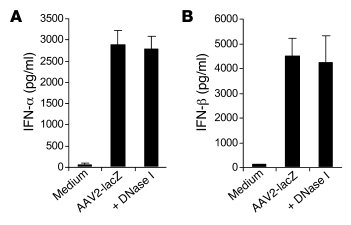 DNase I treatment does not affect the ability of AAV to stimulate pDCs.
...