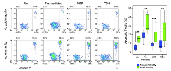 Autoimmunity after alemtuzumab is associated with excessive T cell apopt...