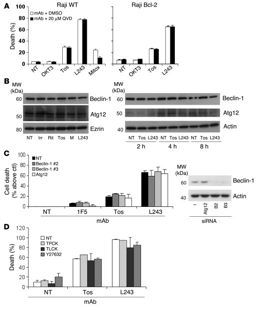 Cell death evoked by tositumomab and L243 is nonapoptotic and nonautopha...