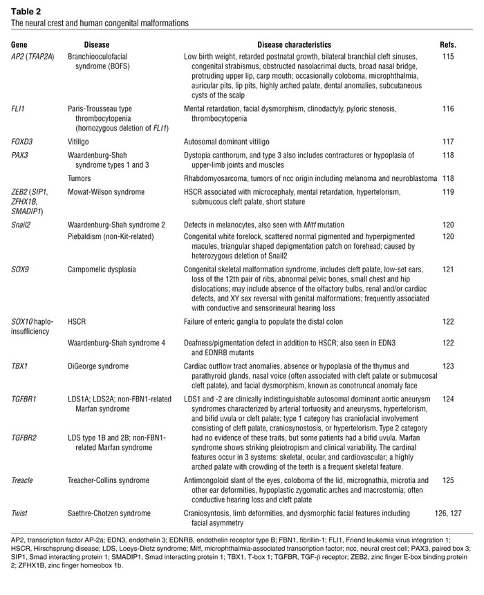 The neural crest and human congenital malformations