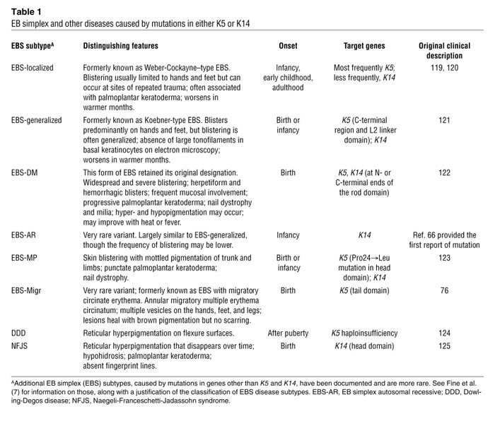 EB simplex and other diseases caused by mutations in either K5 or K14