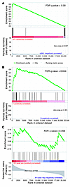 The validated 33-gene M3-specific signature is consistently dysregulated in